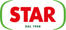 logo star